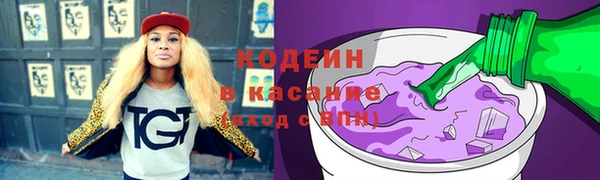 спиды Бородино