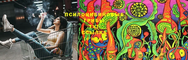 марки lsd Бугульма