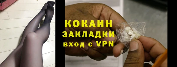 спиды Бородино