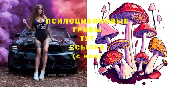 марки lsd Бугульма