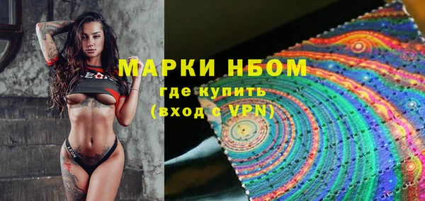 спиды Бородино