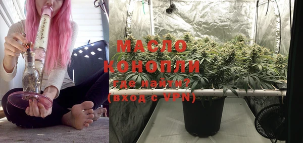 спиды Бородино