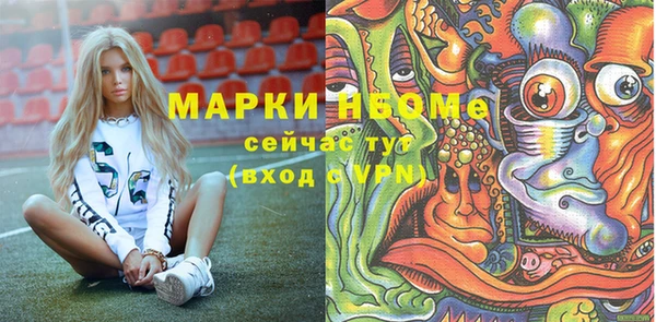 спиды Бородино