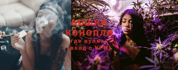 спиды Бородино