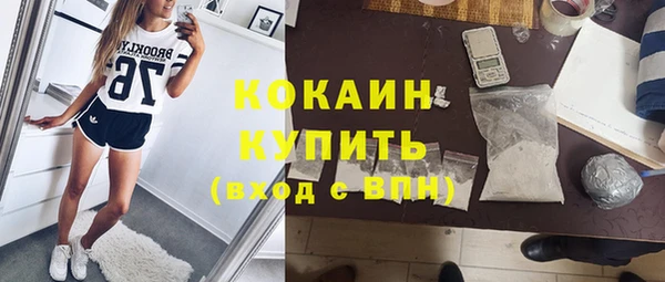 спиды Бородино